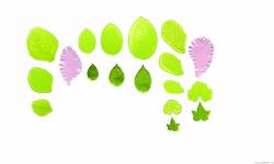 Blattanspitzer 11Stück