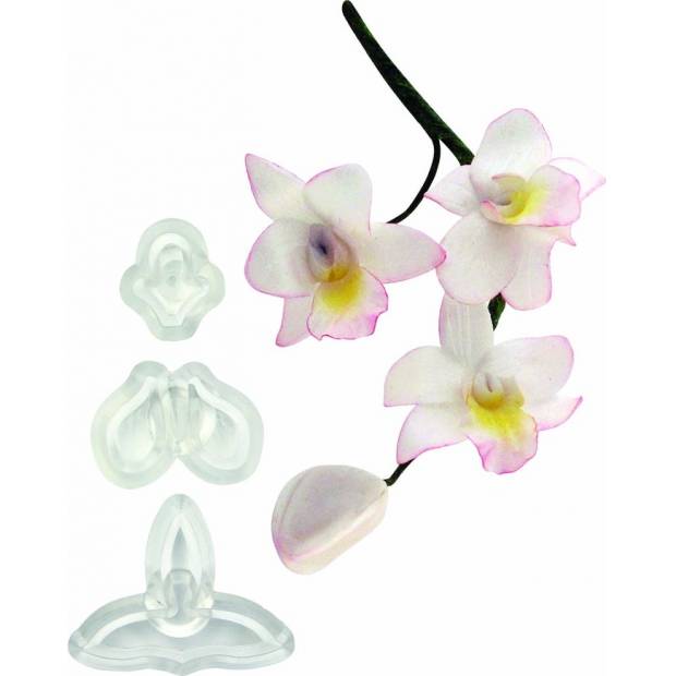 Satz von 3 Stück - kleine Orchidee Singapur