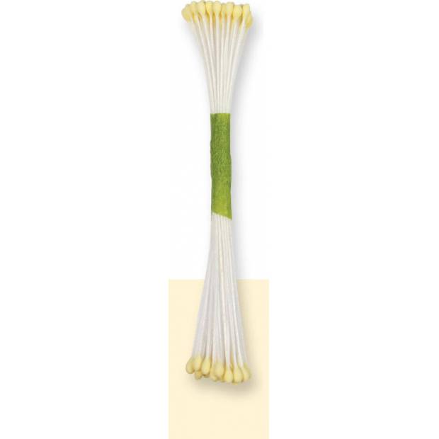 Elfenbeinkerne 50 Stück