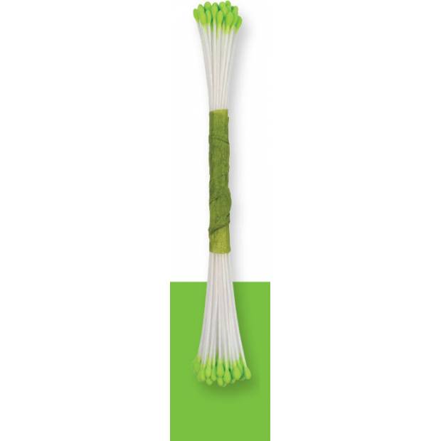 Limettenkerne 50 Stück