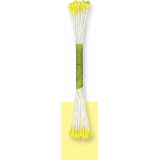 Zitronengelbe Blütenstempel 50 Stück
