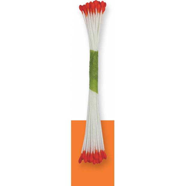 Orangefarbene Blütenstempel 50 Stück