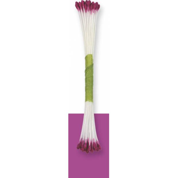 Violette Blütenstempel 50 Stück