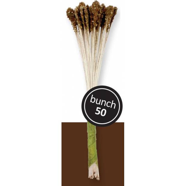 Maiglöckchen - braun 50 Stück