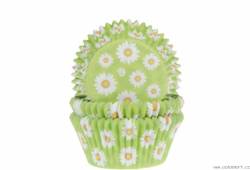 Frühling Gänseblümchen Muffin Korb 50pcs