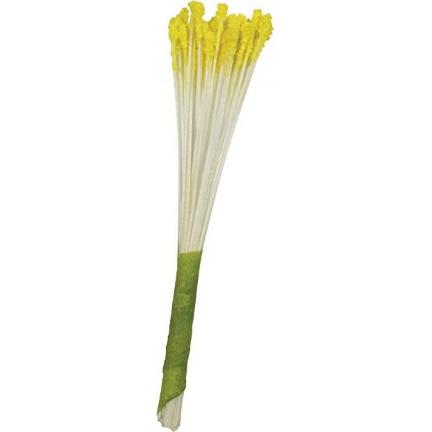 Blütenstempel - gelbe Lilie 50 Stück