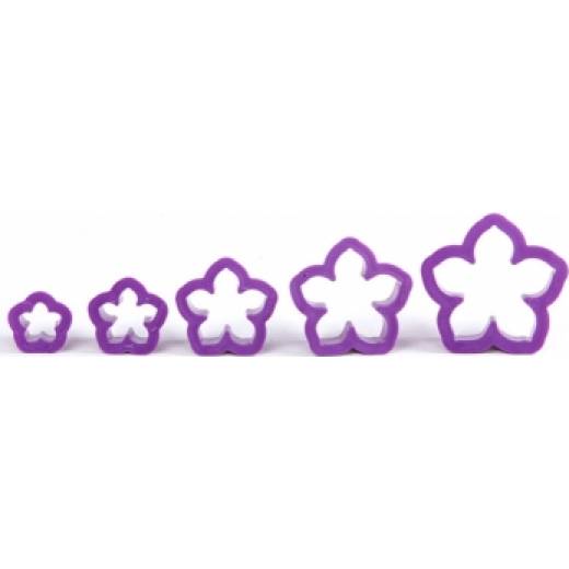 5-teiliges Petunien-Set