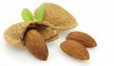 Abdeck- und Modelliermasse 1,4 kg