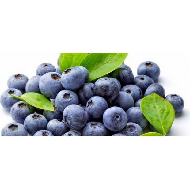 Heidelbeer-Aromapaste (200 g)