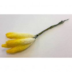 Knospen P06 kala (5 Stück - 11 cm) 6325