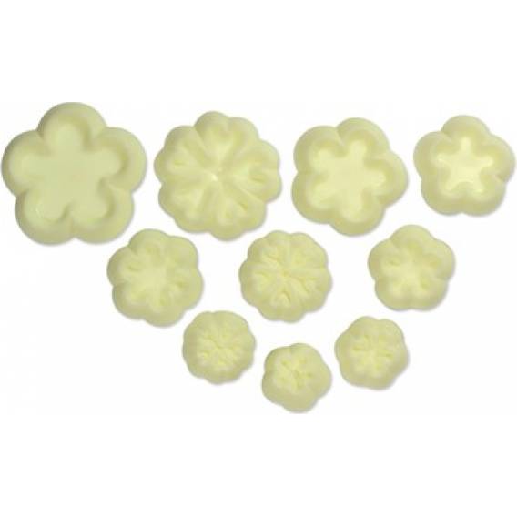 Gänseblümchen und Schlüsselblumen 10er Set