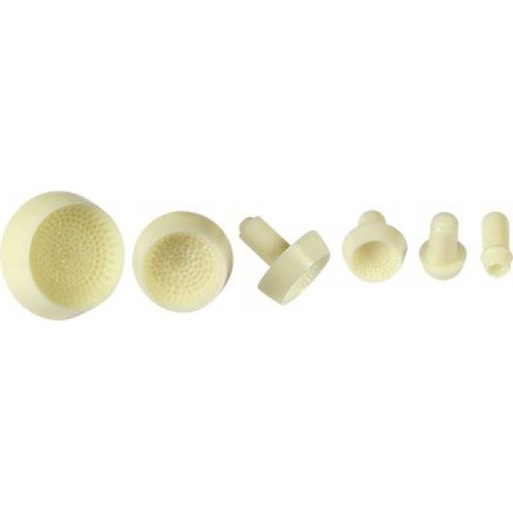 Stempel- und Matrizensatz 6-teilig für die Modellierung von Pflanzenzentren