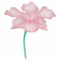 Schablone für Airbrush Orchidee