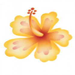 Schablone für Airbrush Hibiskus