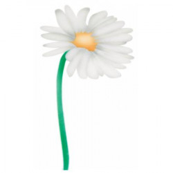 Schablone für Airbrush-Gänseblümchen