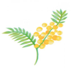 Schablone für Airbrush Mimosenzweig