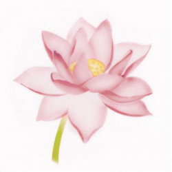 Schablone für Airbrush-Lotus