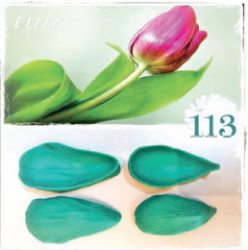 Silikonform für Venenmacher