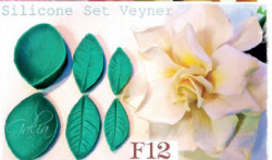 Silikonform für Venenmacher