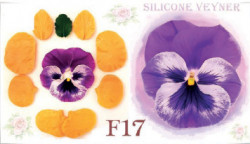 Silikonform für Venenmacher