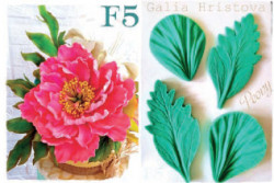 Silikonform für Venenmacher