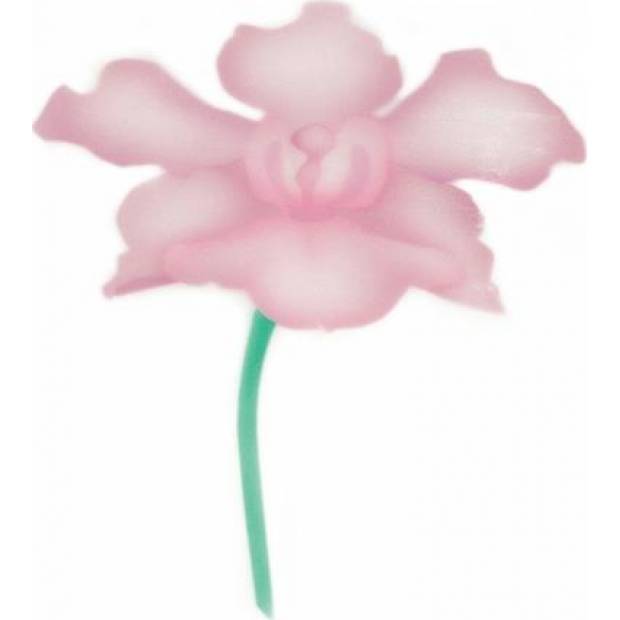 Schablone für Airbrush Orchidee