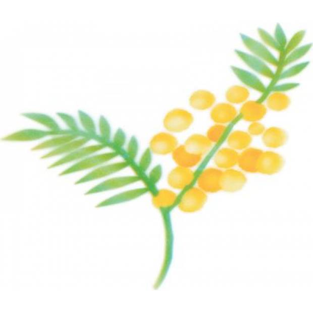 Schablone für Airbrush Mimosenzweig