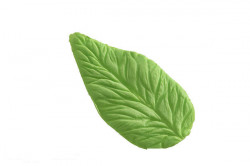 Foglia Blattanspitzer 43x81mm