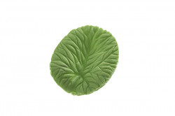Foglia 60x50mm Kaugummi-Blatt