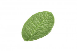 Foglia Blatt Eisen 80x60mm