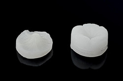 Foglia Blattanspitzer 65x40mm