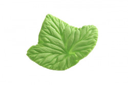 Foglia Blatt Rasiermesser