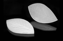 Foglia Blattanspitzer 140x80mm