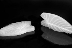 Foglia Blatt Eisen 160x80mm