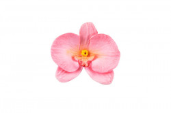 Orchideenform 92x60mm