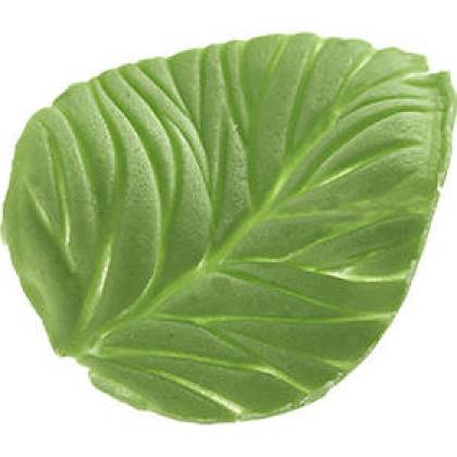 Foglia 63x50mm Blatt Rasierklinge