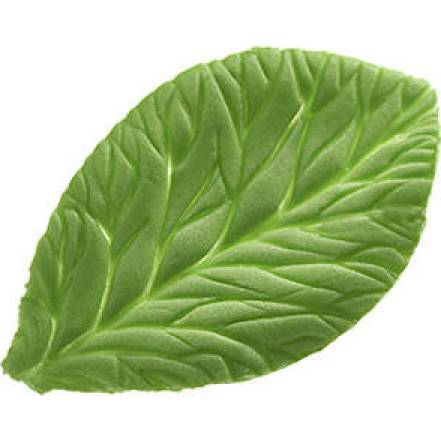 Foglia Blattanspitzer 100x60mm