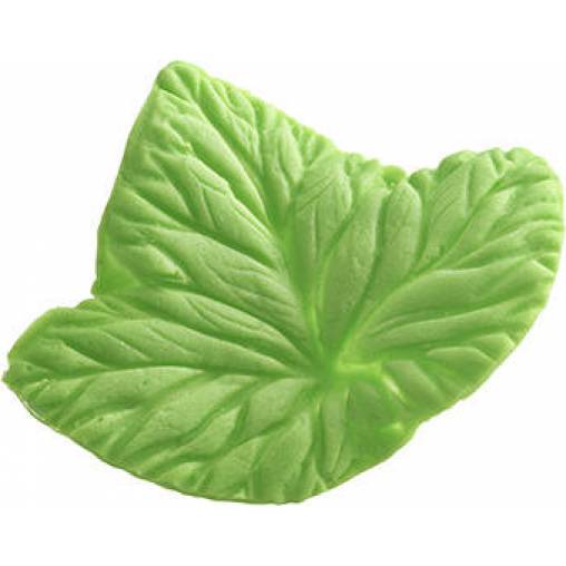 Foglia Blatt Rasiermesser