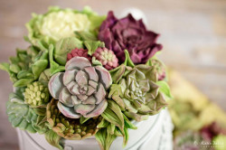 Silikonform für Sukkulenten FL06219