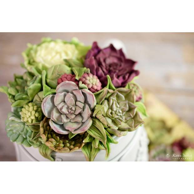 Silikonform für Sukkulenten FL06219