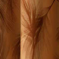 Transferfolie 40x25 cm Plument