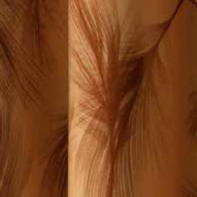 Transferfolie 40x25 cm Plument