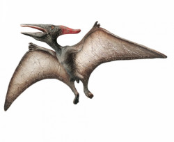 Tortenfigur Pteranodon 30x5cm