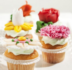 Rolle Dekor-Modelliermasse 2,5kg