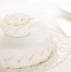 Rolle Dekorbeschichtungsmasse 2,5kg