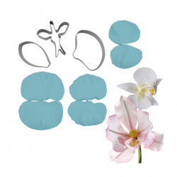 Orchideenveiner und Punsch