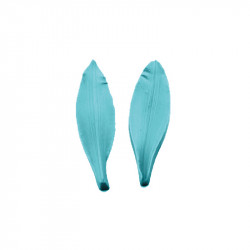 Kaueisen-Liste 14x4cm