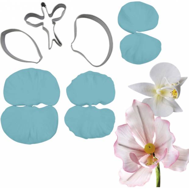 Orchideenveiner und Punsch