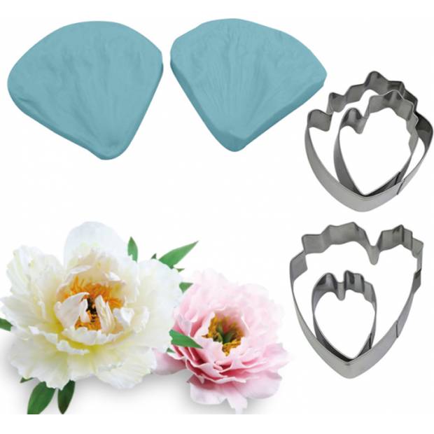 Pfingstrose Anspitzer und Locher