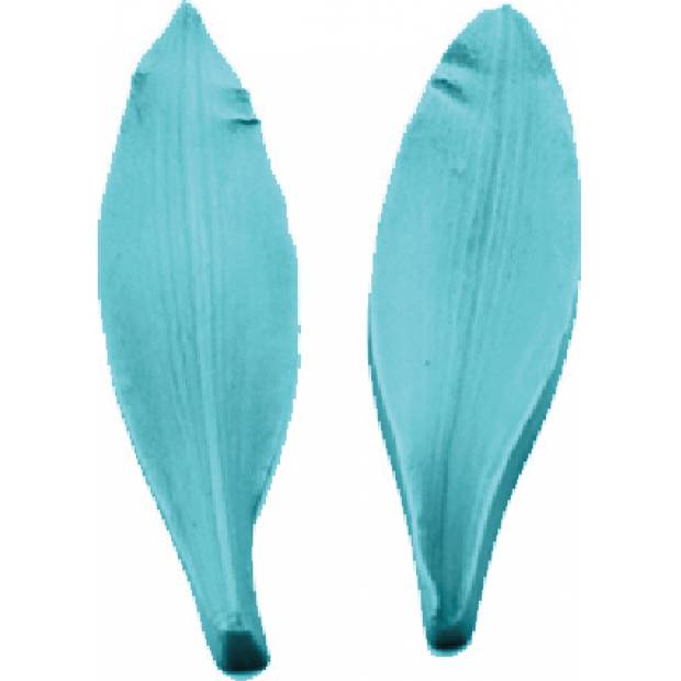 Kaueisen-Liste 14x4cm